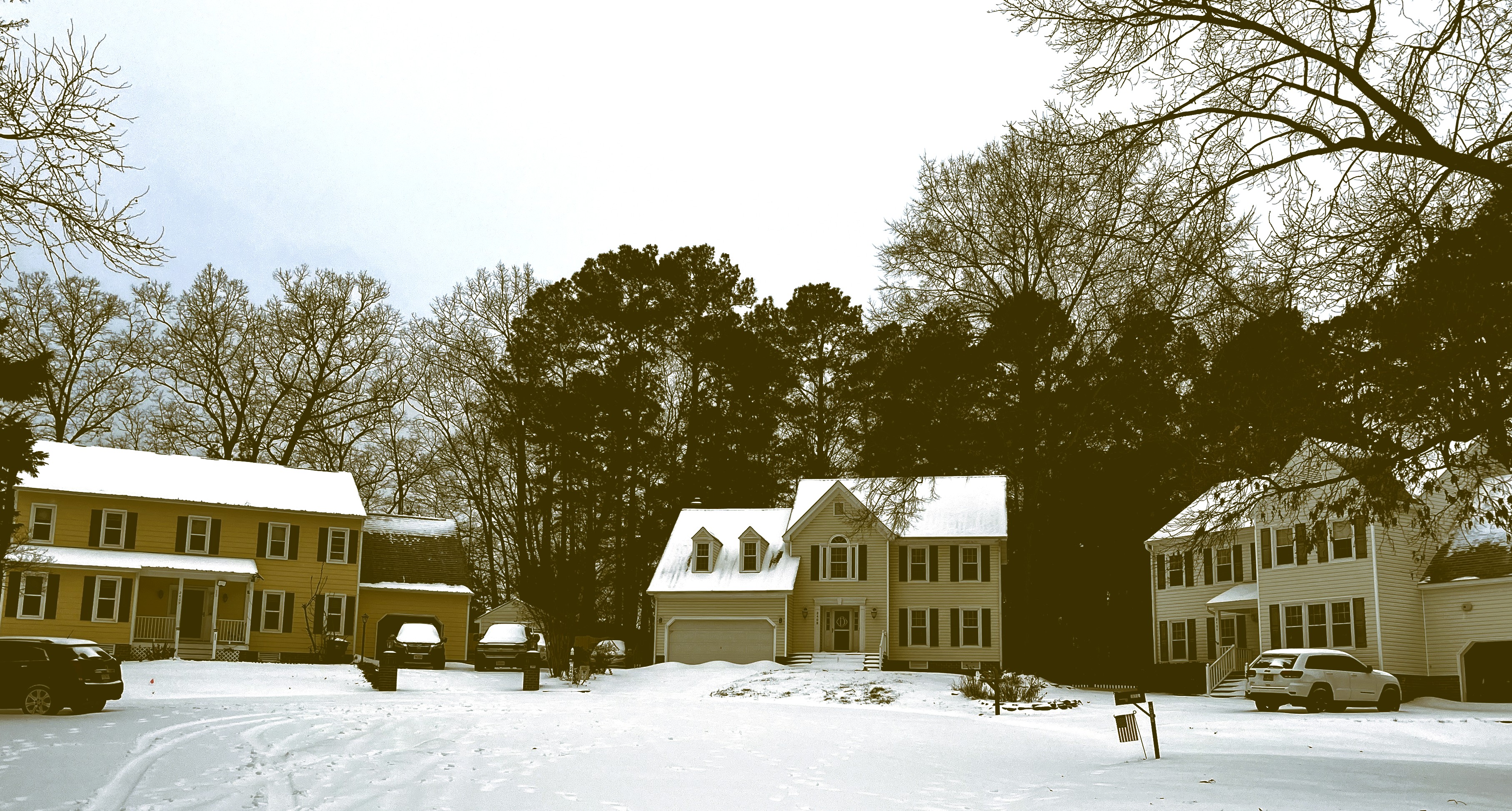 Snow Picture Lisa Court 01312026 IMG_2924.jpg